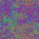 World at epoch 35000