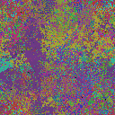 World at epoch 35000