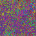 World at epoch 37000