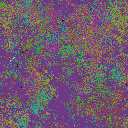 World at epoch 38000