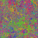 World at epoch 39000