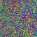World at epoch 48000