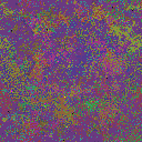 World at epoch 41000
