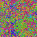 World at epoch 40000