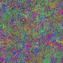 World at epoch 49000