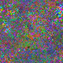 World at epoch 35000