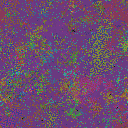 World at epoch 45000