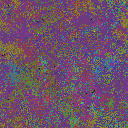 World at epoch 48000