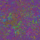 World at epoch 49000