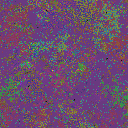 World at epoch 51000