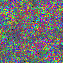 World at epoch 25000
