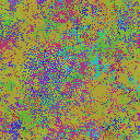 World at epoch 49000