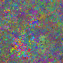 World at epoch 48000