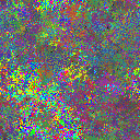 World at epoch 50000
