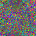 World at epoch 40000