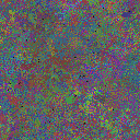 World at epoch 50000