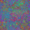 World at epoch 50000
