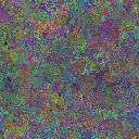 World at epoch 49000