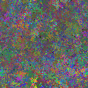 World at epoch 31000