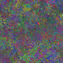 World at epoch 35000
