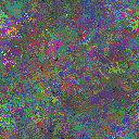 World at epoch 31000