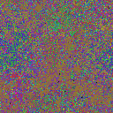 World at epoch 37000