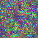 World at epoch 25000