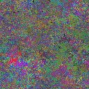 World at epoch 37000