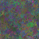 World at epoch 40000