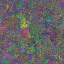 World at epoch 39000