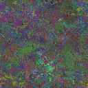 World at epoch 50000