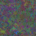 World at epoch 51000