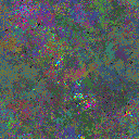 World at epoch 48000