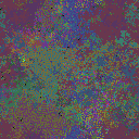 World at epoch 49000