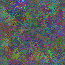 World at epoch 49000