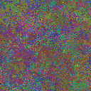 World at epoch 50000
