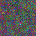 World at epoch 55000