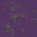 World at epoch 55000