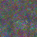 World at epoch 25000