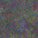 World at epoch 25000