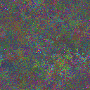 World at epoch 26000