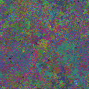 World at epoch 50000