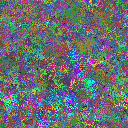World at epoch 40000
