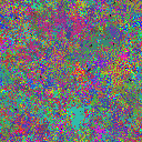 World at epoch 49000