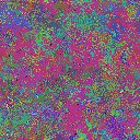 World at epoch 55000