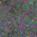World at epoch 24000