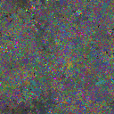 World at epoch 25000