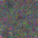 World at epoch 25000