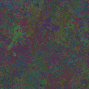 World at epoch 49000