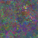 World at epoch 60000